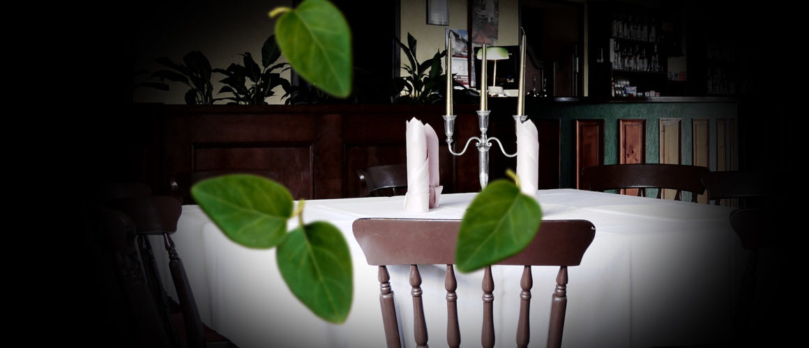 Zajazd Anatol, hotel, hostel, pokoje